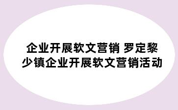 企业开展软文营销 罗定黎少镇企业开展软文营销活动